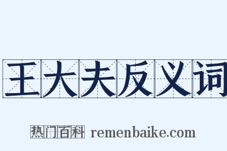 王大夫反义词是什么意思的图片